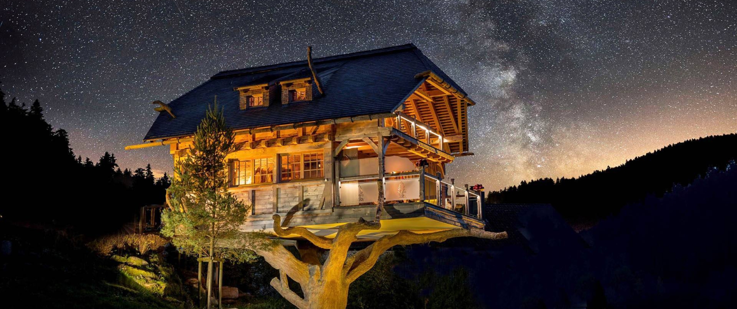 baumhaussaunanacht_full